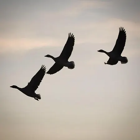 Beautiful Countryside House, Close To Amsterdam *